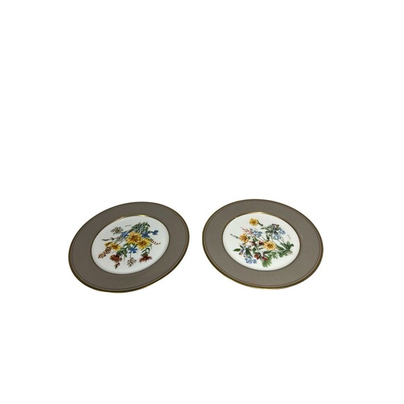 Mikasa Cathy Hardwick Parchment Taupe Appetizer Or Dessert Plate A6825 Set Of 2 - Picture 9 of 12
